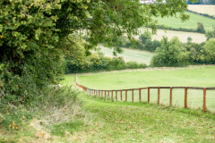 HillHouse-110
