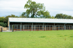 HillHouse-304