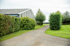 HillHouse-342